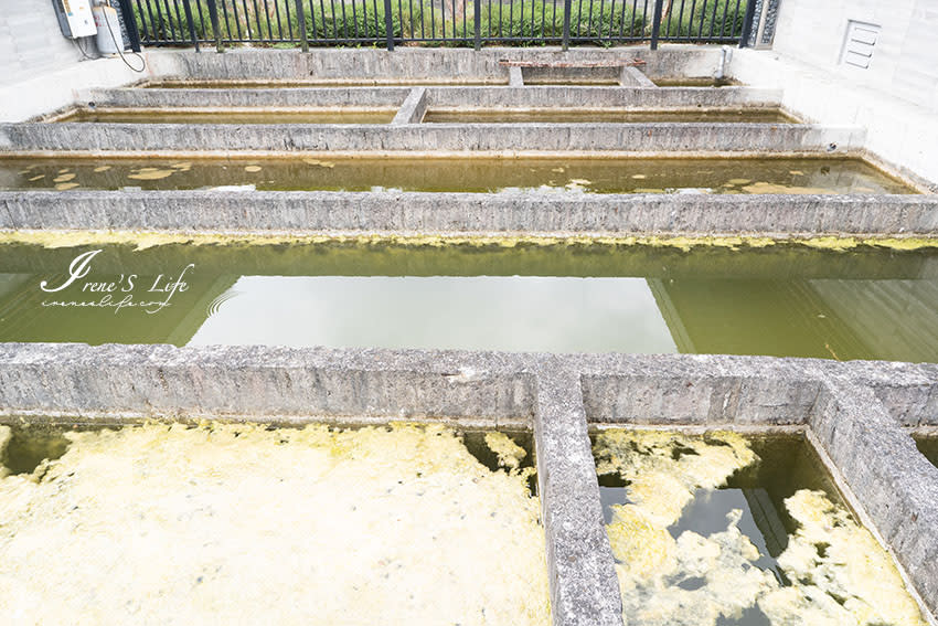 宜蘭礁溪｜甲鳥園休閒農場