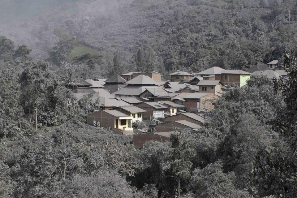 Ash blankets trees and houses at Mardingding village in Karo district, Indonesia. This is the third time in as many months the volcano has erupted. (Reuters)