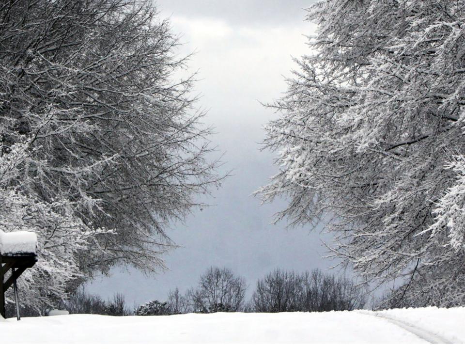 Winter in South Carolina.