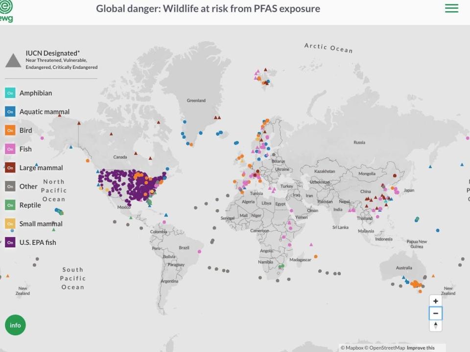 world map with points across continents showing sites of pfas contaminated wildlife