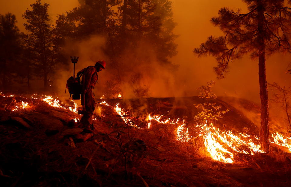 U.S. Forest Service firefighter Ben Foley lights backfires to slow the spread of the Dixie Fire, a wildfire near the town of Greenville, California, U.S. August 6, 2021. REUTERS/Fred Greaves