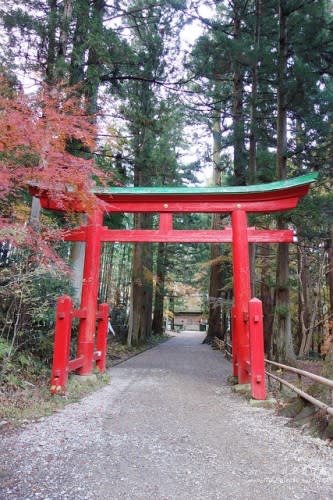 【右上就愛日本旅遊】【日本東北-岩手】東北賞楓疾行（D8-3）中尊寺金色