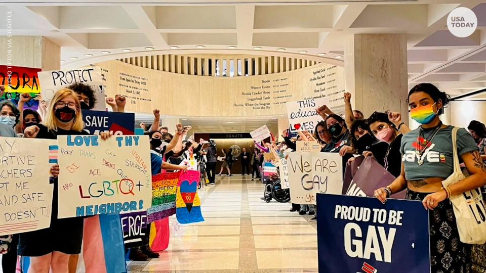 Florida's "Don't Say Gay" bill is aimed at restricting speech on sexual orientation and gender identity in public school classrooms.