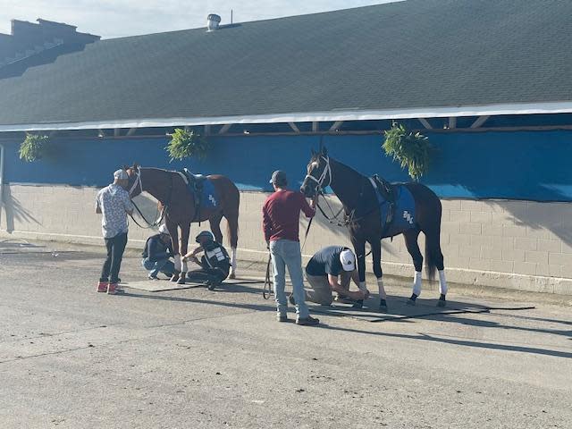 Backside workers caring for horses at Churchill Downs / Credit: courtesy Krista Roach