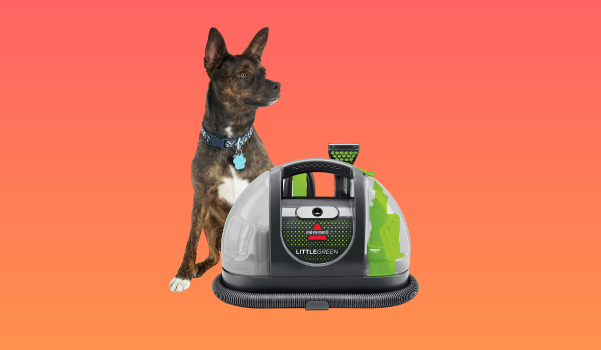 a dog next to a bissell carpet steamer