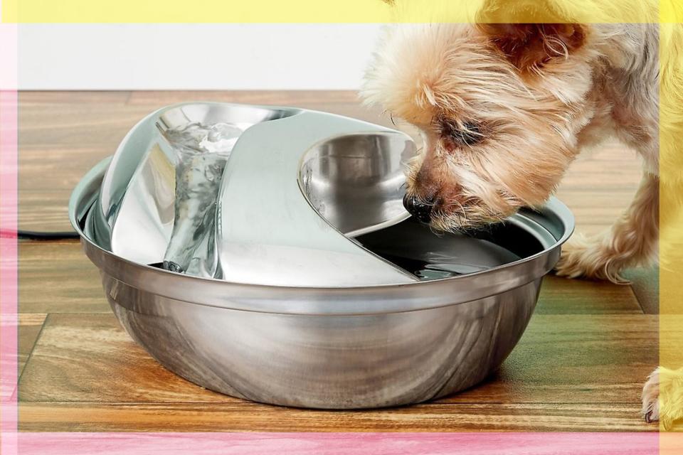 Pioneer Pet Stainless Steel Dog Cat Fountain Raindrop Design