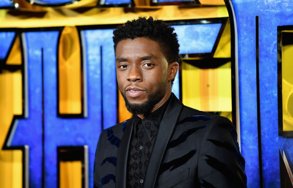 Chadwick Boseman at the European premiere of 'Black Panther' on 8 February 2018 in London (Gareth Cattermole/Getty Images for Disney)