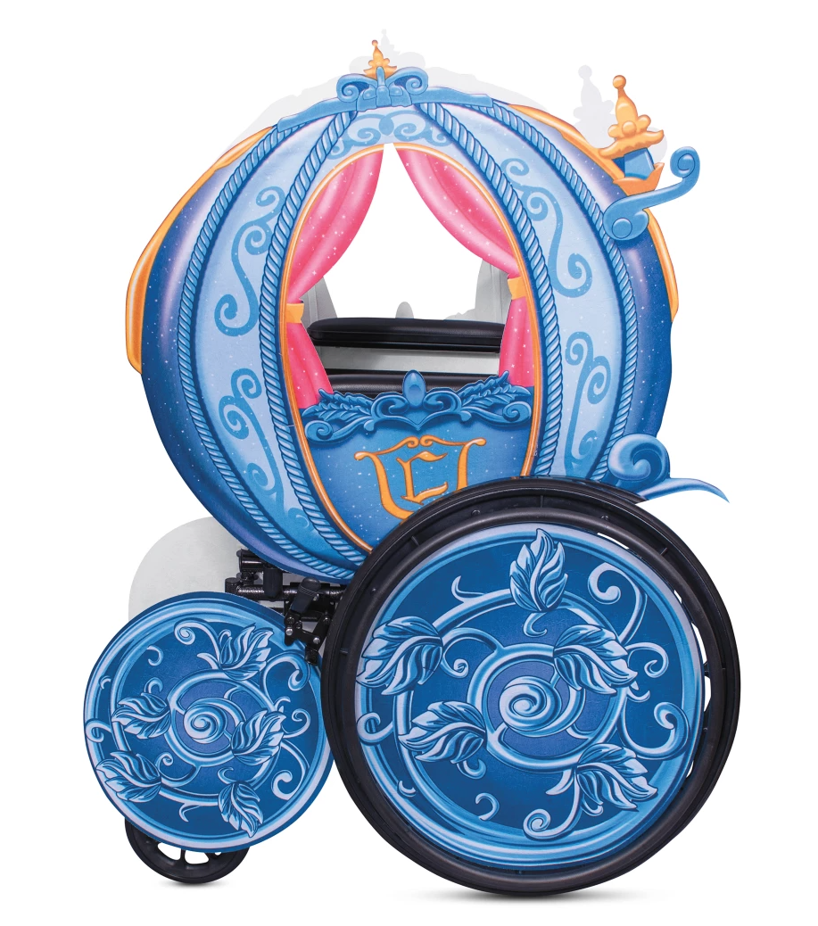 8) Cinderella's Coach Costume