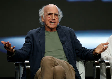 Cast member Larry David attends a panel for the television series "Curb Your Enthusiasm" during the TCA HBO Summer Press Tour in Beverly Hills, California, U.S., July 26, 2017. REUTERS/Mario Anzuoni