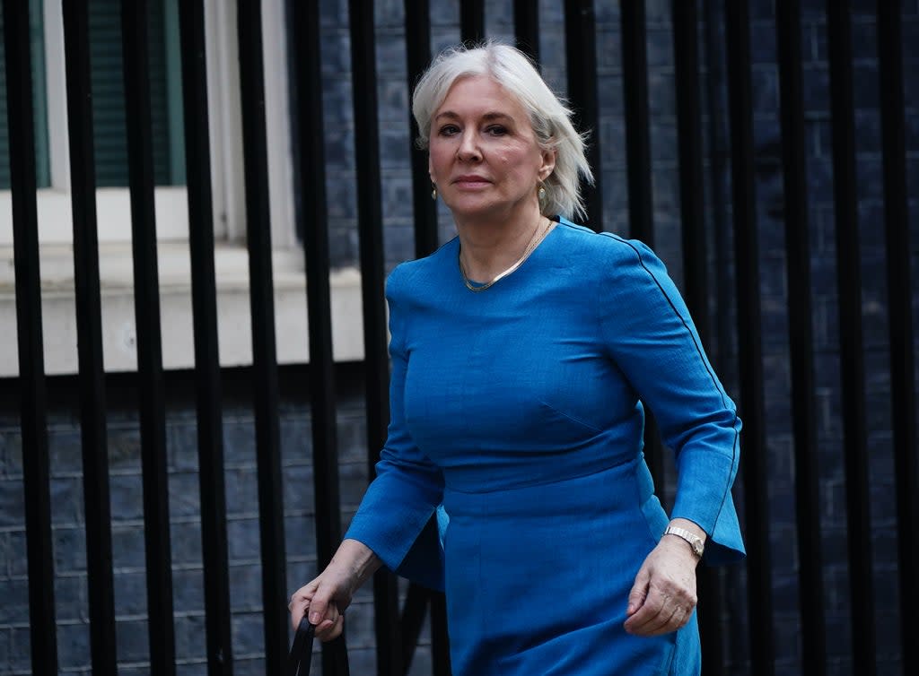 I reminded Dorries of her reality TV past last week when I found myself in front of her before the Digital, Culture, Media and Sport Select Committee (Aaron Chown/PA)