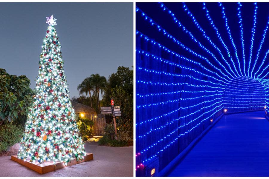 La magia de Navidad llega al Zoológico de San Diego: descubre el Safari Park bajo las luces navideñas