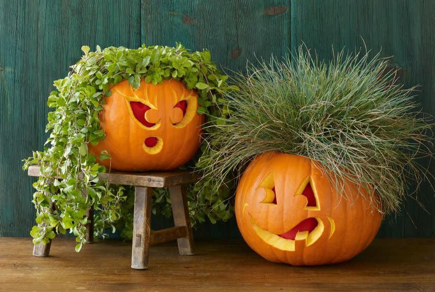 <p>Top your pumpkin with its very own plant toupee. Carve out the top of the gourd and tuck in a pot of grass or ivy for a truly awesome hairdo. </p>