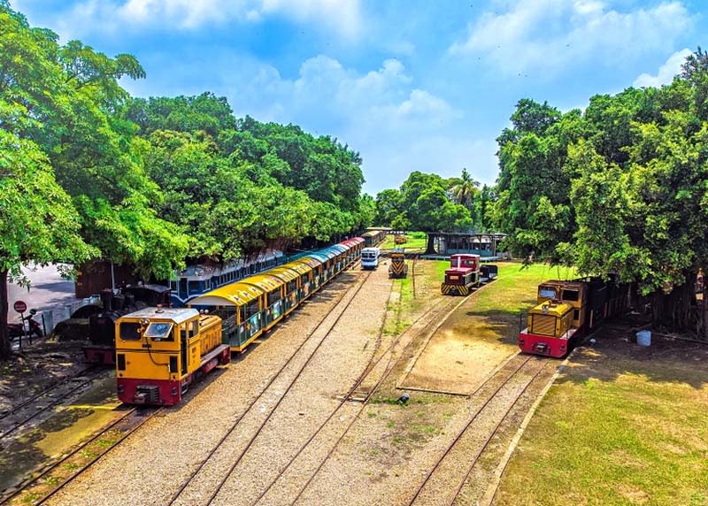 兒童節當天至台糖烏樹林休閒園區，12歲以下孩童可免費搭乘五分車。