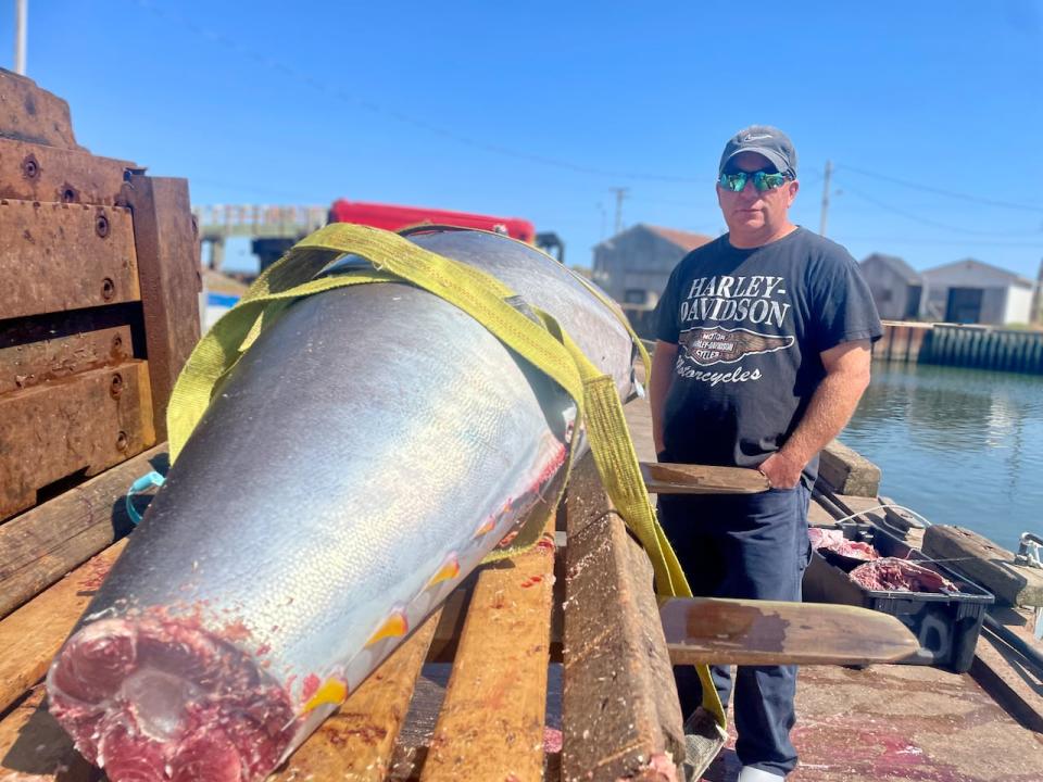 Tuna fisher Glen Doucette stands behind his latest 340 pound catch off P.E.I.'s north shore.  According to buyer and exporter Jason Tompkins, this tuna is "top quality."