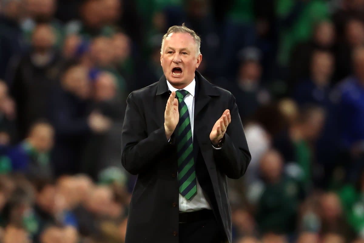 Michael O’Neill suffered defeat on his return to Windsor Park (Liam McBurney/PA) (PA Wire)