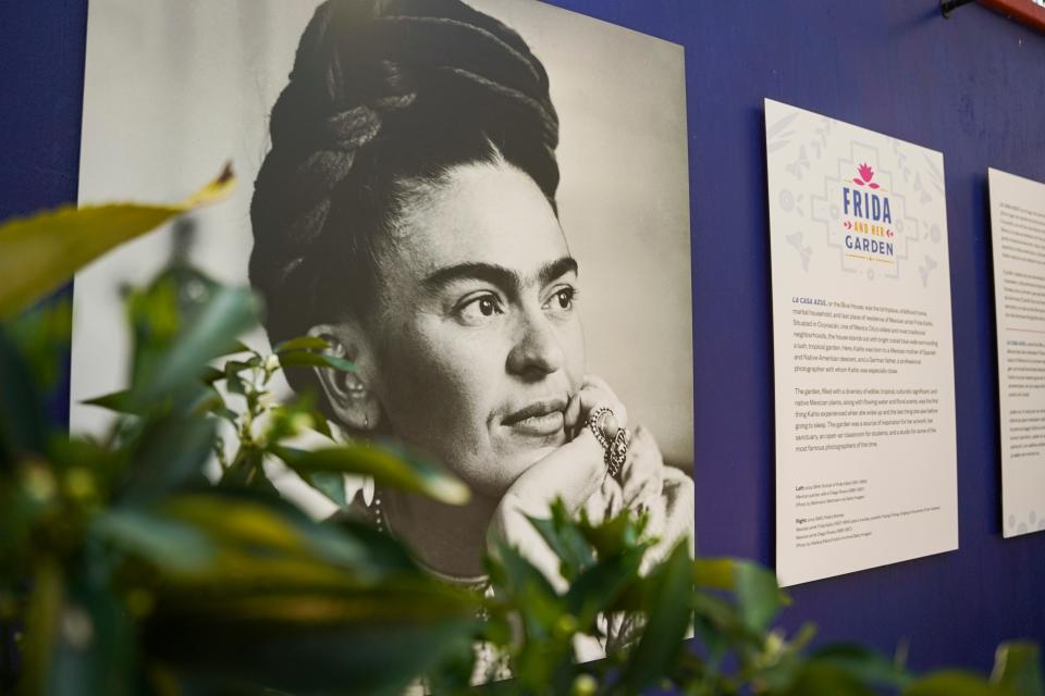 Frida's portrait inside the Frida Kahlo exhibit at the Naples Botanical Gardens.