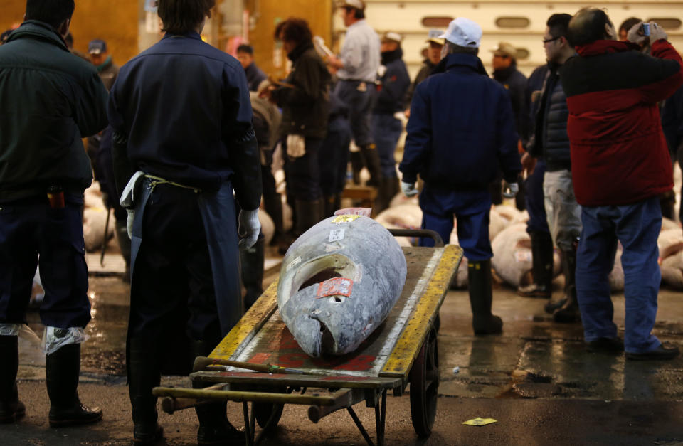 In this Jan. 5, 2013 photo, a frozen tuna is placed on a cart following the first auction of the year at the Tsukiji Market in Tokyo. Sprawling Tsukiji fish market - the world’s biggest - is where those beautiful slices of tuna on your sushi come from. Want to witness the famous tuna auctions? Then get up early and be there by 5 a.m. to cue up for the first 120 viewing slots. (AP Photo/Shuji Kajiyama)