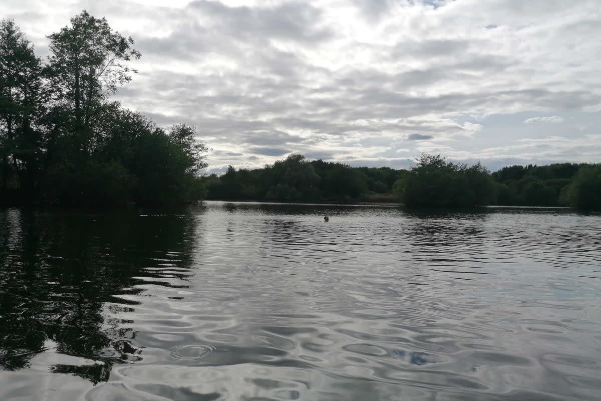 File picture of a swimmer at North Met Lake  (Barney Davis)