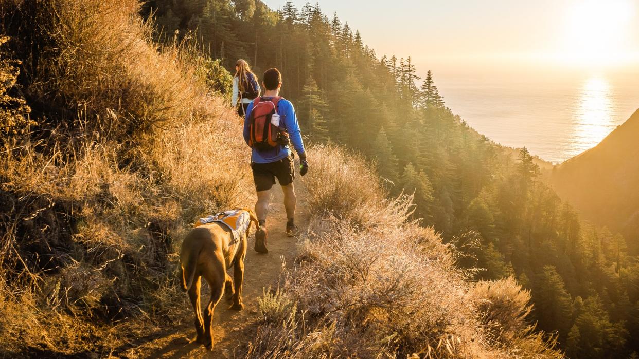 hiking in Big Sur California