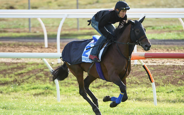 Japanese raider whose last win was back in 2013. Will need to be on best game to feature in the finish. The Japanese runners that contend this race have a strong record and can't be dismissed.