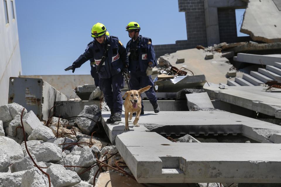 Rescue specialists for USA-1 and their canine rescue dog search a mock disaster area during a training exercise at the Guardian Center in Perry, Georgia, March 25, 2014. (REUTERS/Shannon Stapleton)