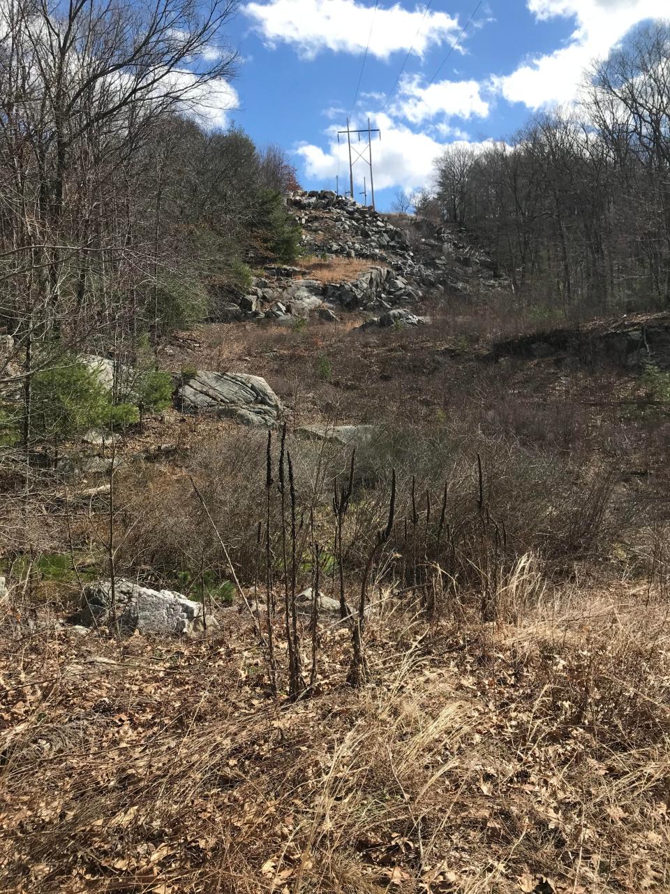 A string of power lines runs across a ridge on the southeast side of the preserve.