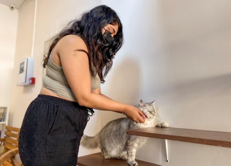 A woman plays with a cat at the Ailuromania Cat Cafe, where customers can relax among purring felines or adopt a stray cat in Dubai