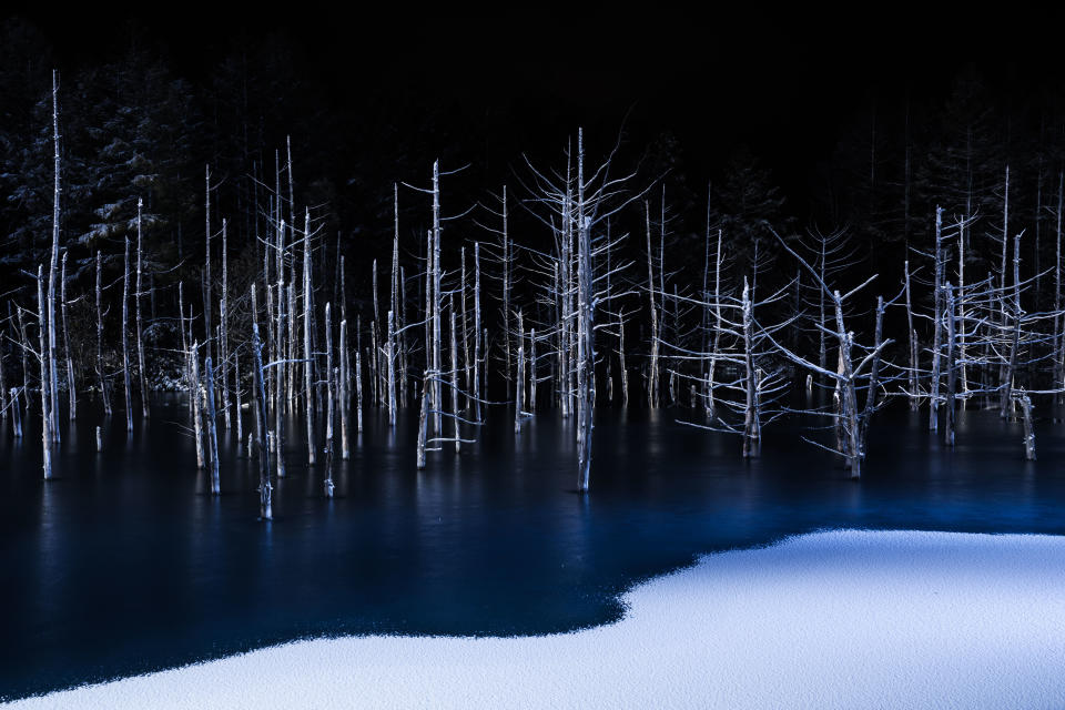 <strong>Winner: Hiroshi Tanita&nbsp;from Japan</strong><br />Tanita caught the ice blue and white of winter.