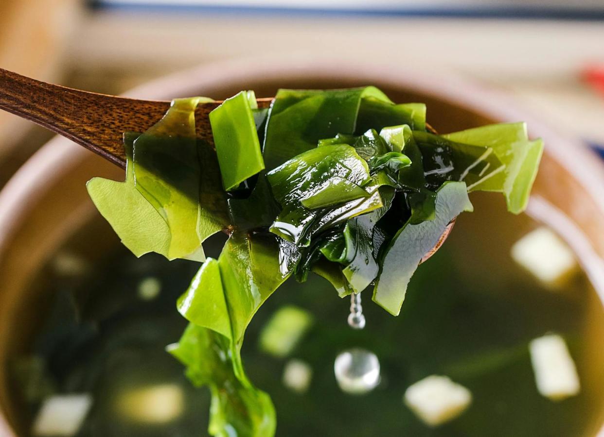 <a href="https://www.shutterstock.com/es/image-photo/kelp-edible-marine-algae-served-cold-2429382177" rel="nofollow noopener" target="_blank" data-ylk="slk:CatherineScarlett/Shutterstock;elm:context_link;itc:0;sec:content-canvas" class="link ">CatherineScarlett/Shutterstock</a>