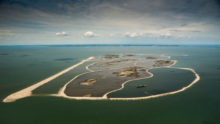 The vast expanse of Markermeer lake was until recently nothing more than a cloudy mass devoid of aquatic life