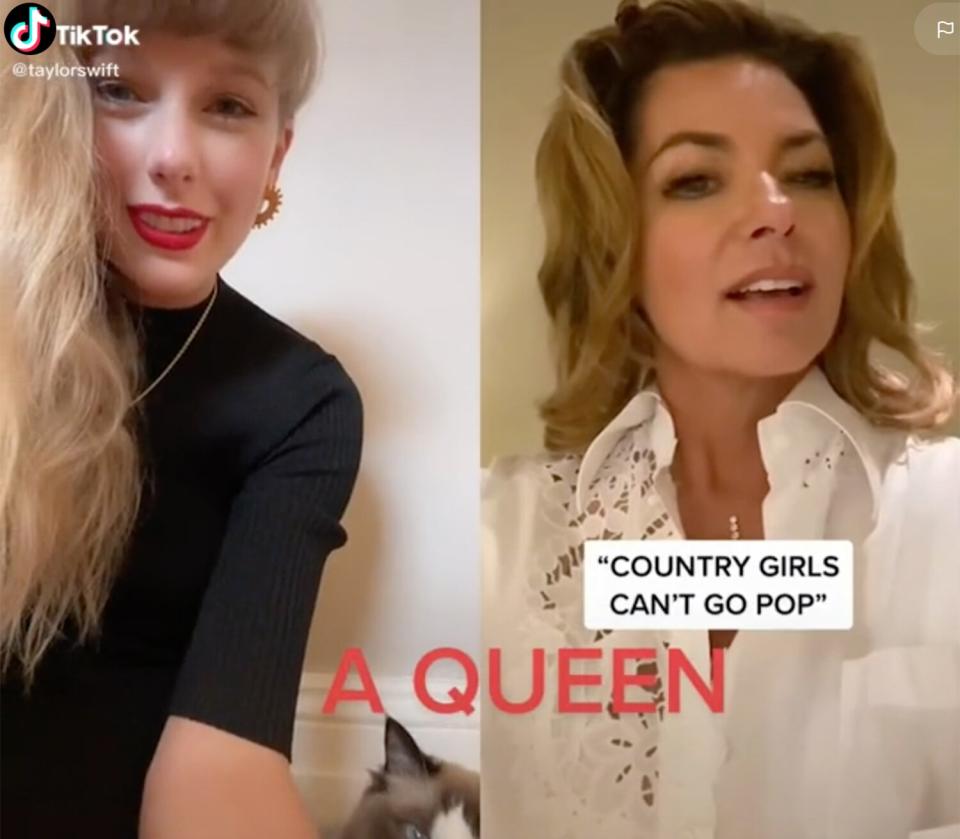 Taylor Swift, Shania Twain