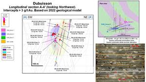 Longitudinal Section of Dubuisson Zone