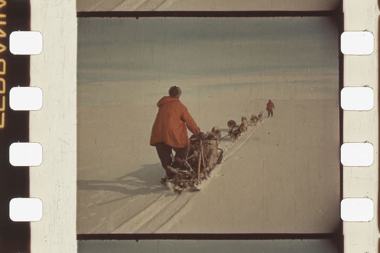 Una imagen de 1966, con una patrulla en trineo tirado por perros