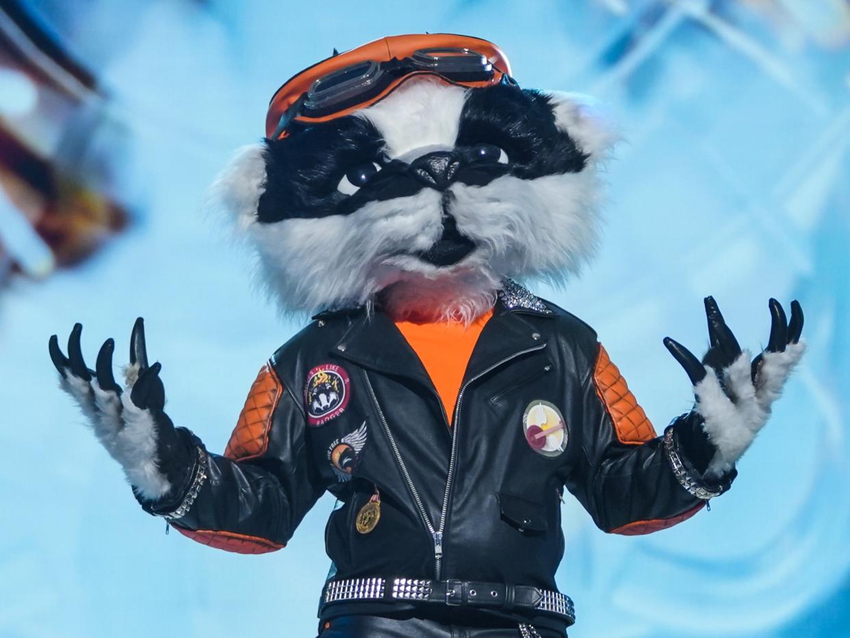 The mysterious Badger on The Masked Singer UK (ITV)