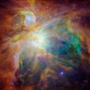 Baby stars 1,500 light years away in the cosmic cloud of the Orion Nebula. Four massive stars make up the bright yellow area in the center of this false-colour image for Nasa's Spitzer Space Telescope. Green indicates hydrogen and sulphur gas in the nebula, which is a cocoon of gas and dust. Red and orange indicate carbon-rich molecules. Infant stars appear as yellow dots embedded in the nebula. Photo credit: NASA