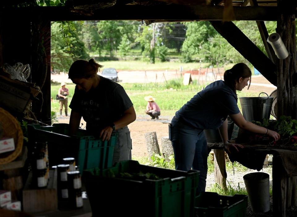 Workers put out produce for the farmstand at Land's Sake Farm in Weston, June 15, 2022.  
