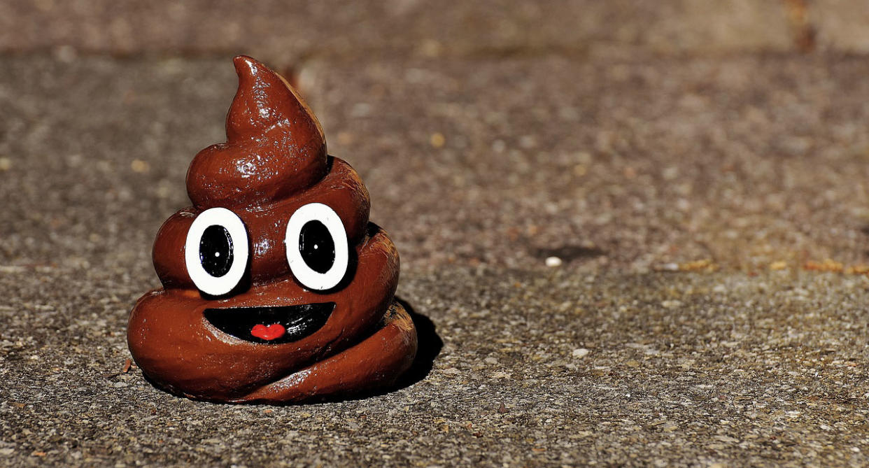 Is there a serial train station pooper going around Japan? Photo: Pixabay