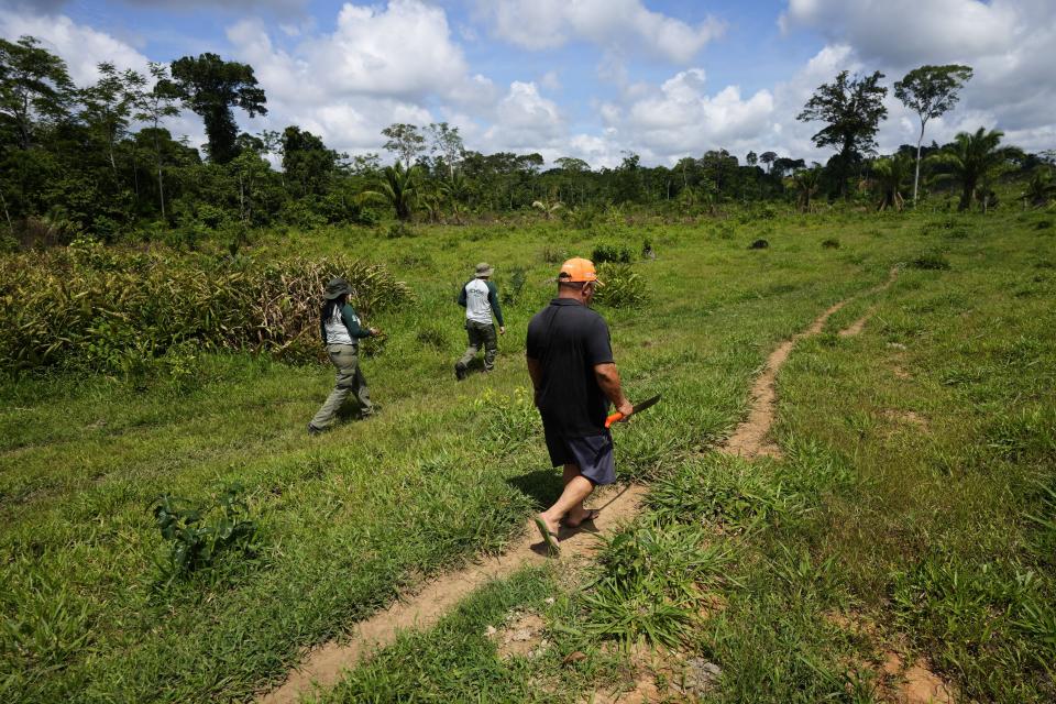 Agents from the Chico Mendes Institute inspect land the Chico Mendes Extractive Reserve, in Brasileia, Acre state, Brazil, Thursday, Dec. 8, 2022. Brazil's incoming president has promised to eliminate all deforestation by 2030, which would be a complete change of course for Brazil compared to the last four years. (AP Photo/Eraldo Peres)