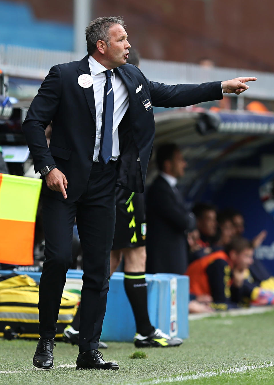 Sampdoria coach Sinisa Mihajlovic reacts during a Serie A soccer match between Sampdoria and Chievo Verona, in Genoa, Italy, Sunday, April 27, 2014. (AP Photo/Carlo Baroncini)