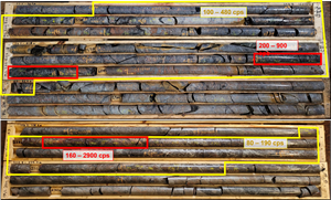 Two zones of typical reddish alteration and uranium mineralization intersected in ML-200.