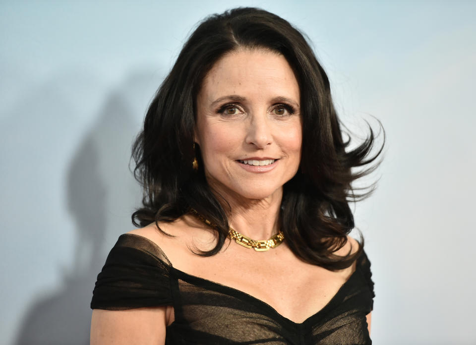 Julia Louis-Dreyfus host DNC (Steven Ferdman / Getty Images)