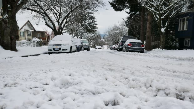 A recent snowfall led to school cancellations, power outages and traffic nightmares in Metro Vancouver. Photo from Christer Waara/CBC.