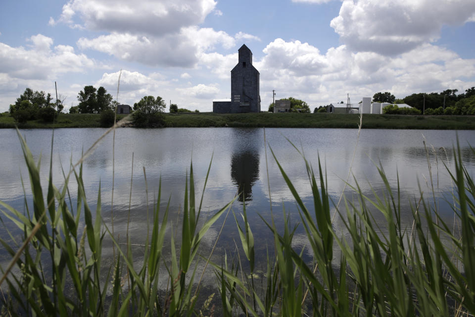 Un silo de grano se refleja en un humedal en Holmquist, Dakota del Sur, el 18 de junio de 2019.En todo el mundo se llevan a cabo esfuerzos para recuperar los humedales que han sido rellenados para plantar cultivos o para satisfacer otras necesidades humanas. Sin ellos, las especies están en peligro y las inundaciones son un peligro cada vez mayor. (AP Foto/Charlie Riedel)