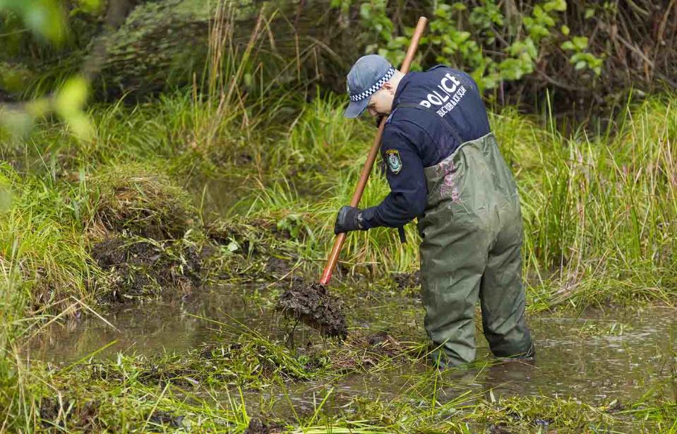 NSW Police search bushland at Batar Creek in NSW, looking for evidence in the William Tyrrell disappearance. Source: AAP