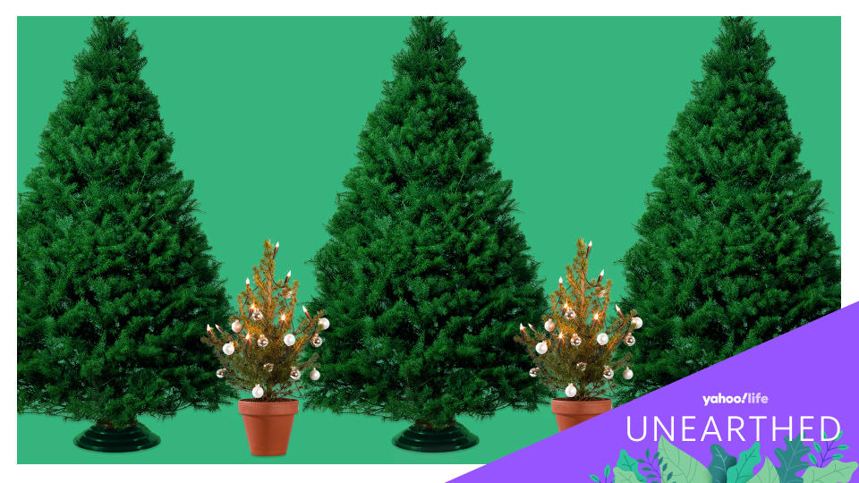 Are real or artificial Christmas trees better for the It’s