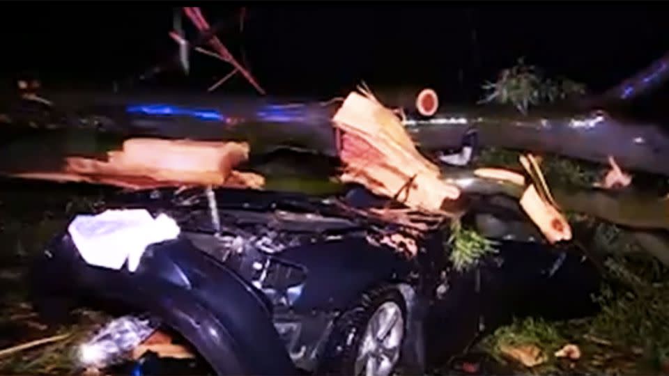 The woman was driving her car near Coffs Harbour on Wednesday when a gumtree fell and crushed her car. Photo: 7 News