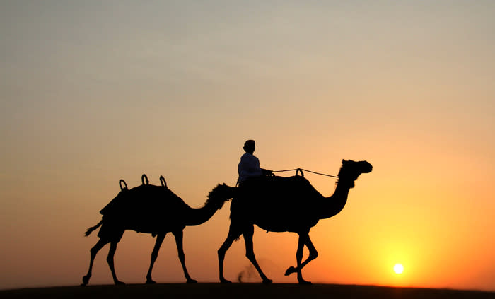 Dubai: Channel the romance of Arabian nights and venture on a desert camel safari from Dubai with Platinum Heritage Tours.