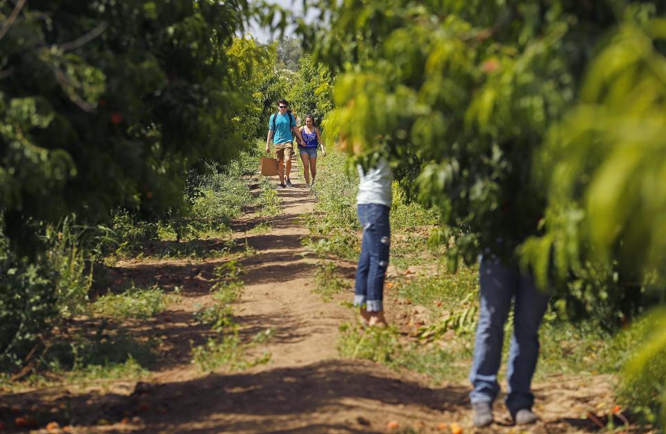 The owners of Schnepf Farms in Queen Creek sold a sliver of their land to make way for high-end apartments.