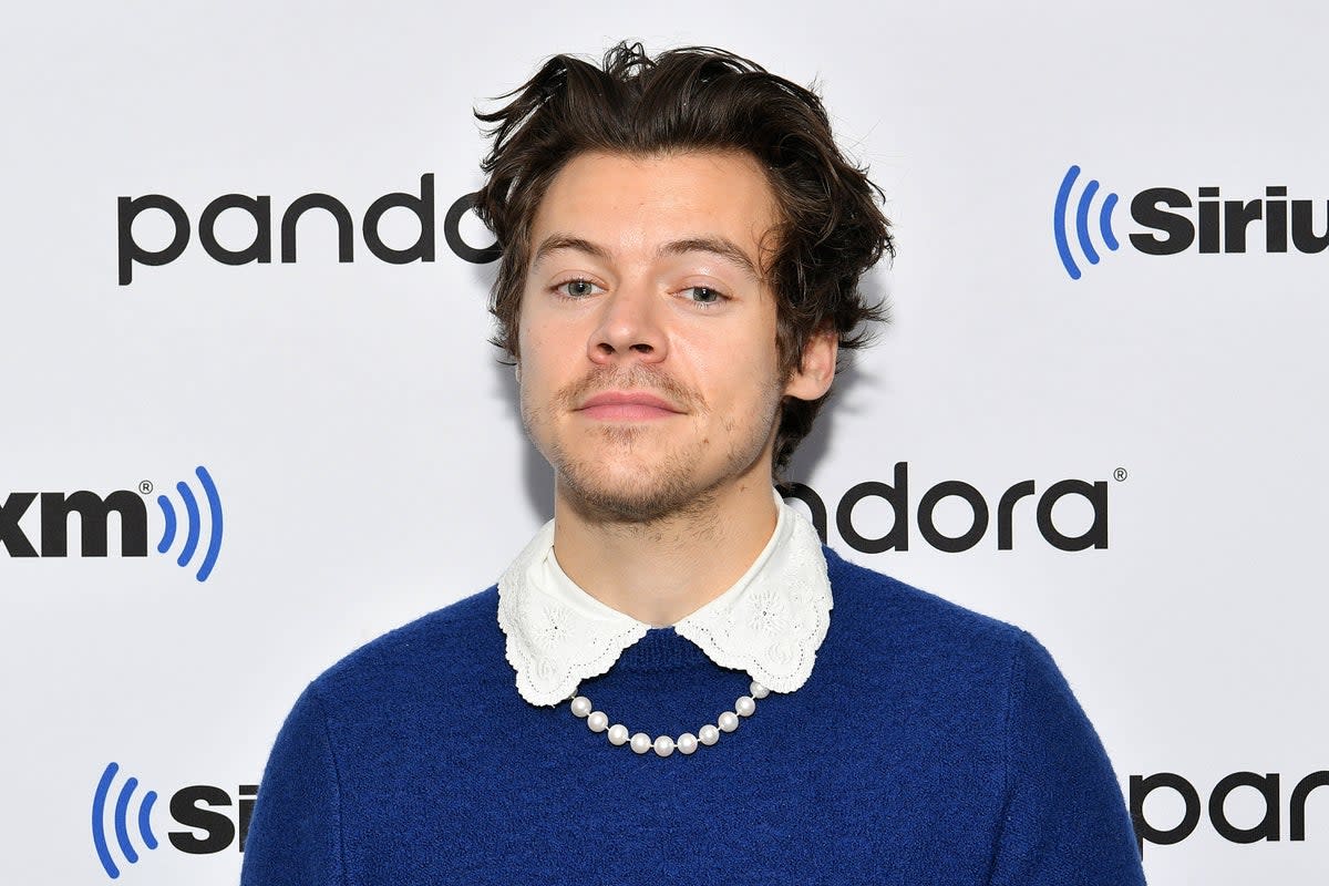 Harry Styles in 2020 (Getty Images)