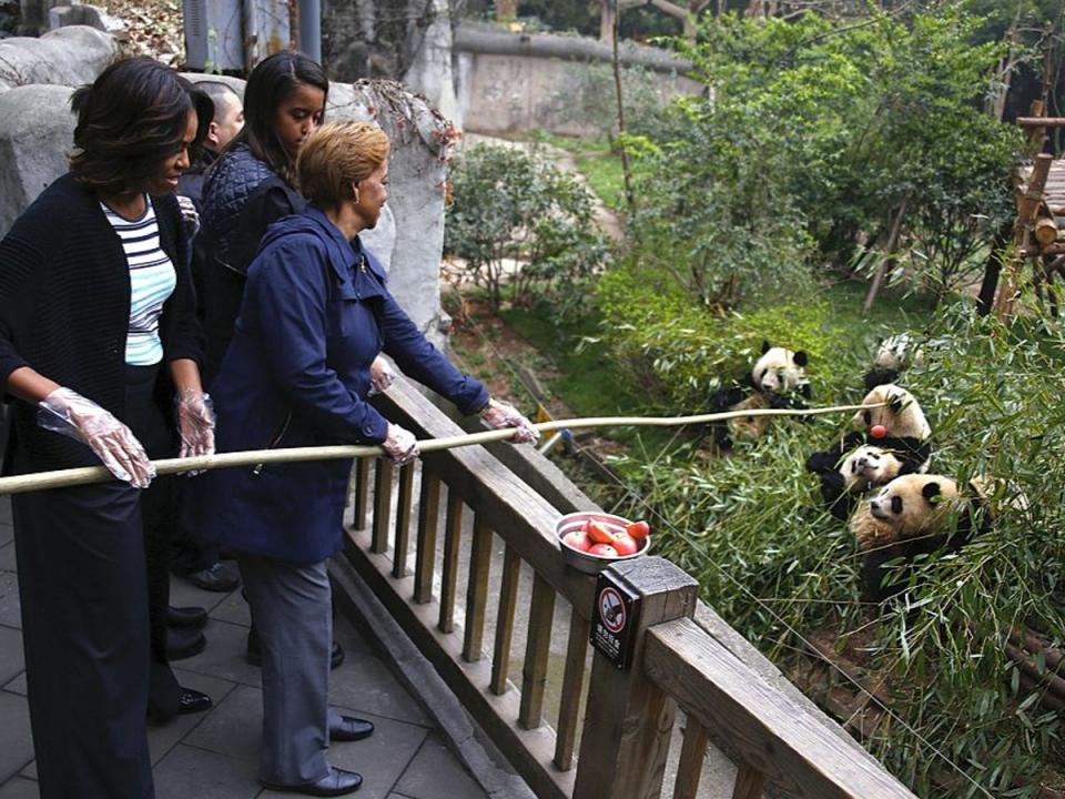 Feeding apples to giant pandas during a visit to China in March 2014 (PETAR KUJUNDZIC/AFP via Getty Images)